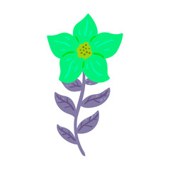 Vibrant Green Flower with Purple Stem and Leaves Isolated on White Background