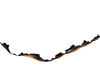 Classic Denim Jacket: Blue Jean Trucker Jacket, Casual Apparel, Fashion Photography isolated on transparent background