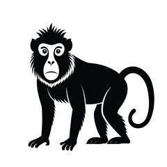 A black and white image of a monkey standing