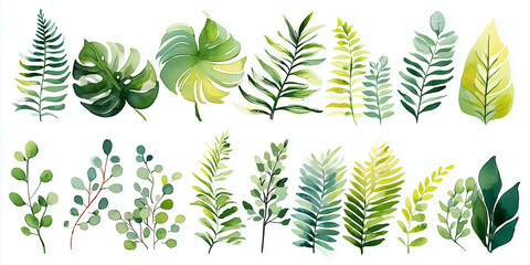 Verdant Watercolor Collection