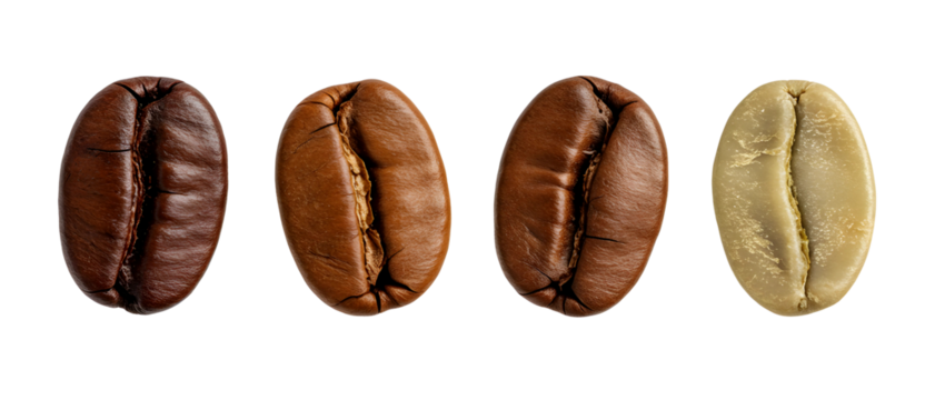 Various stages of coffee bean roasting, from green to dark roast. Isolated on transparent background, png