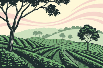 Lush green tea fields with rolling hills and trees © RABBY