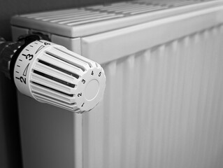 Heating radiator with thermostat control, black and white