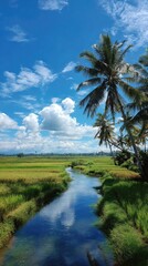 Obraz premium Lush rice fields with a stream, palm trees under a bright blue sky