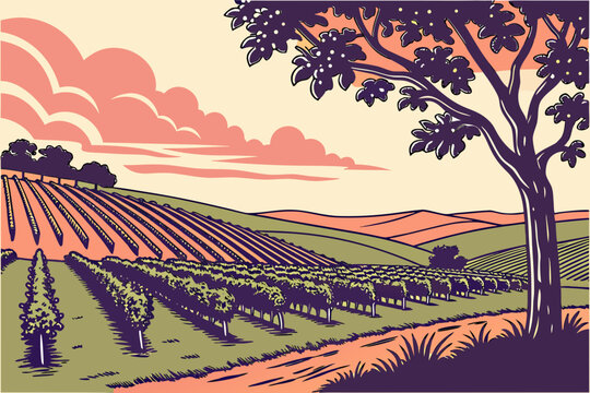 Rolling vineyard landscape at sunset with stylized clouds and tree