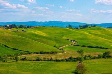 Naklejka premium Amazing Tuscany panoramic landscape with green rolling hills with trees in spring, Italy.