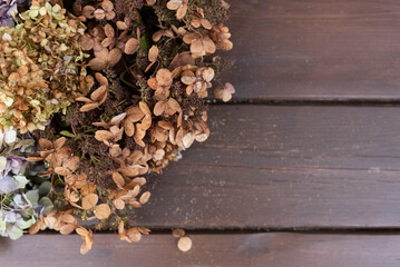 Mix of dried hydrangeas on a wooden plank background with free space for text