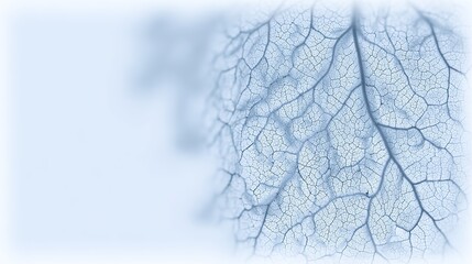 lungs. Close-up of delicate leaf veins resembling a natural network on a soft blue background. gardening catalogs, home-decor guides, designed for home decor and floral branding.