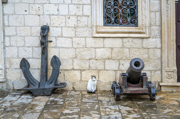 A cute cat relaxes beside a cannon and an anchor in Kotor's old town, showcasing local history.