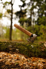 axe in a log in the autumn forest. blurred background. Manual work. vertical