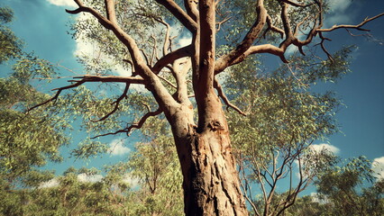 Beneath a bright blue sky, the impressive bark of a tall tree stands proudly among lush greenery. Sunlight filters through the leaves, creating a tranquil atmosphere in the forest.