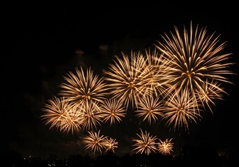 A spectacular display of golden fireworks exploding in the night sky, illuminating the darkness with brilliant bursts of light and color, creating a festive and celebratory atmosphere for any special 