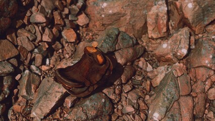 A weathered leather shoe lies abandoned among a bed of multi colored stones in a rocky terrain. The sun casts shadows, bringing out the details and textures of the surroundings.