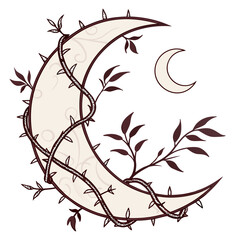 Crescent moon entwined with thorny vines and leaves 2 © rabby
