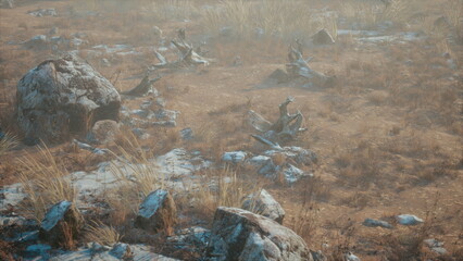 A tranquil environment unfolds before the viewer, with soft fog enveloping rugged rocks and dry grass. Nature’s gentle beauty invites exploration and reflection in this enchanted terrain.