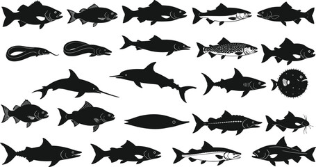 Aquatic animal silhouette collection, marine fish vector set, underwater species illustration, black and white, cad drawing flat vector illustration