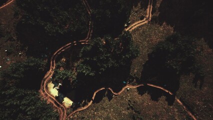 Nestled amid a vibrant forest, a winding path meanders through lush greenery, kissed by sunlight. Discover the tranquility of nature as shadows dance in the golden light.