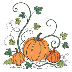 Three orange pumpkins with green twisting vines and leaves