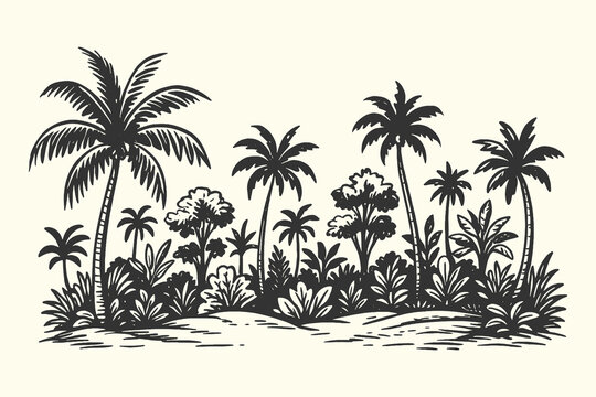 Vintage tropical palm tree forest engraving, exotic island nature sketch illustration.