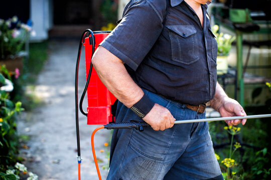 A man with a battery-powered telescopic sprayer in his hands against the background of plants in a summer house. Concept treatment of plants for growth and destruction of parasites.