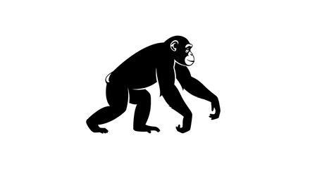 Obraz premium Chimpanzee silhouette isolated on white background