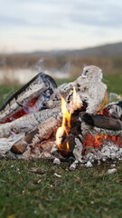 campfire in the forest