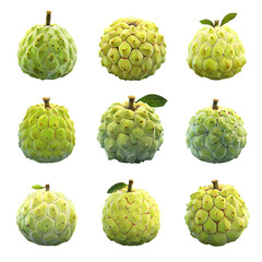Obraz premium Custard Apple Growth Stages Fruits A Set of Isolated Natural Realistic PNG