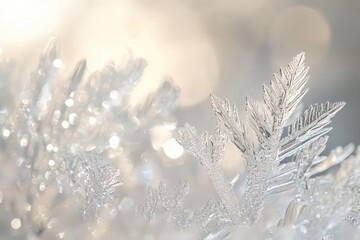 Close-up view of intricate ice crystals against a soft light background.