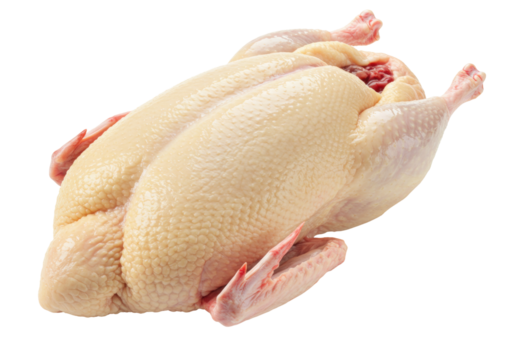 Isolated uncooked duck preparation, ready for roasting, gourmet cooking, fresh game meat
