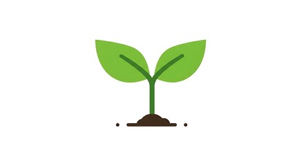 Green Sprout Growing from Soil.