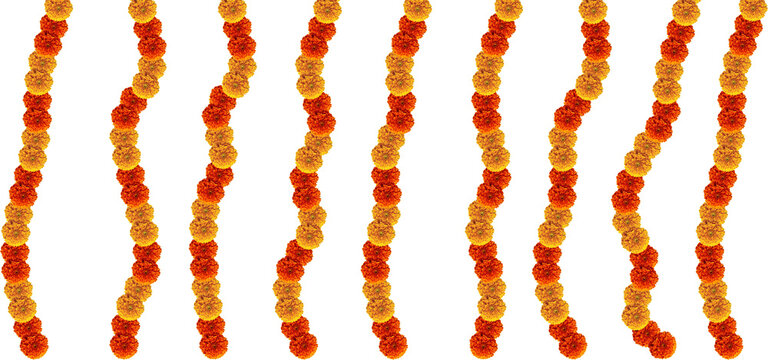Orange and red marigold flowers hanging strips festive element