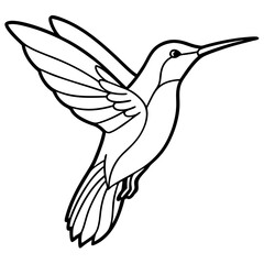 Obraz premium Minimalist line art illustration of a hummingbird