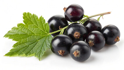 Heap of fresh blackcurrants with green leaf isolated on white background, closeup