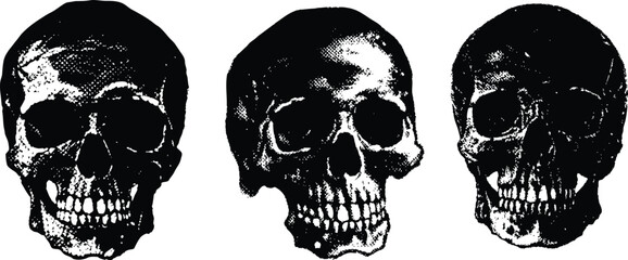 human skull with halftone stipple effect Grunge isolate texture human skull set perfect for urban design vector illustration.