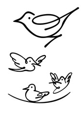 Set of birds, line art hand drawing, vector design illustration.