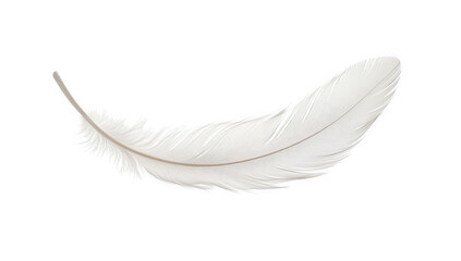 An elegant white feather isolated on transparent background, gracefully curved, highlighting its delicate structure and soft texture, evoking a sense of lightness