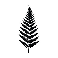 Elegant black fern silhouette on a clean white background for minimalist design