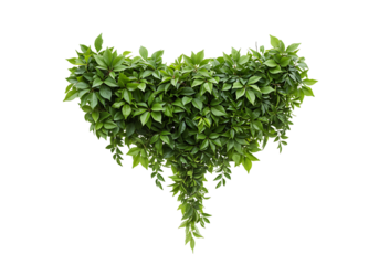 Heartshaped green leaves garland isolated on transparent background, symbolizing love and nature, perfect for romantic or ecofriendly designs