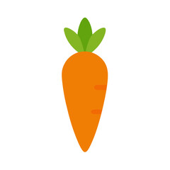 carrot vector illustration
