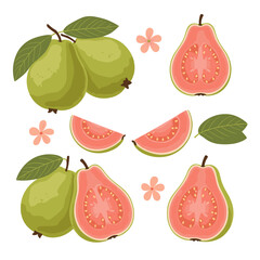 Vibrant illustration of fresh pink guava fruits and slices with green leaves and delicate pink flowers