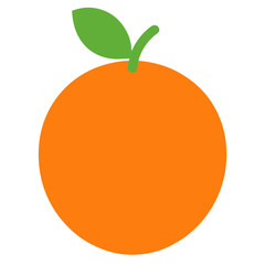 orange fruit vector illustration