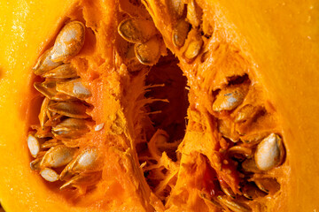 Macro close-up of fresh butternut squash showing seeds embedded in vibrant orange pulp and fibrous texture. Detailed food photography highlighting natural patterns, organic produce