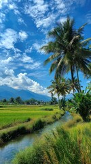 Obraz premium Tropical landscape with rice fields, a stream, palm trees, mountains under a blue sky