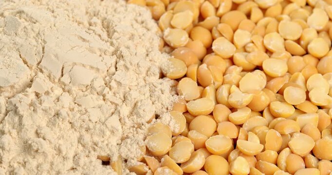 Pea protein on a background of yellow peas, close-up footage on a rotating table.