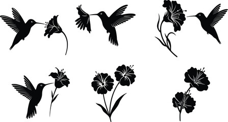 Set of hummingbird and flower black silhouettes, flying birds feeding nectar blossoms, wildlife vector illustration for nature, garden, tropical, and decorative design © Afsun Creative