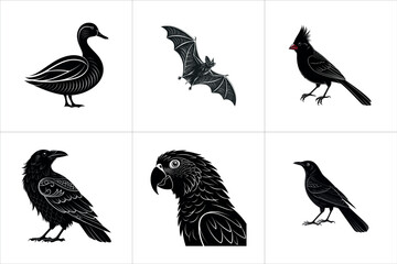 set of bird silhuoette vector  illustration