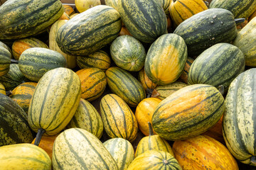 Heap of striped spaghetti squash