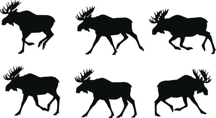 Set of six moose silhouettes in walking poses, wildlife animal vector illustration, antler profile design for nature, hunting, forest themes
