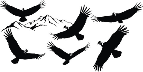 Silhouette collection of condors flying over mountain landscape, black vector illustration for wildlife, predator bird, nature, scenery, freedom, decoration, logo, design