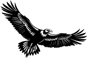 Obraz premium Eagle on white background